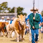 Stanthorpe show beef cattle competition: a family affair