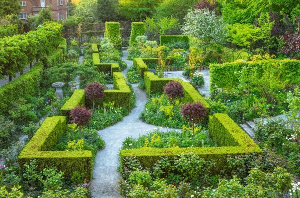 Betting your hedges: How taking a risk with your garden hedge could be the most rewarding job you ever do