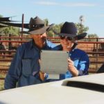 The Ridge Brahmans makes debuts at February All Breeds Sale