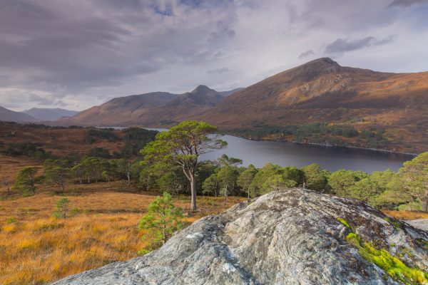 Scottish farmers and stakeholders sceptical over new plans for National Parks