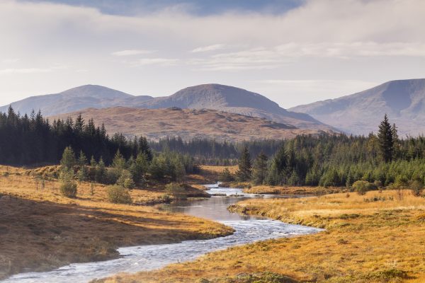 Opinion: Why the ‘threat’ of a new National Park has Galloway farmers up in arms