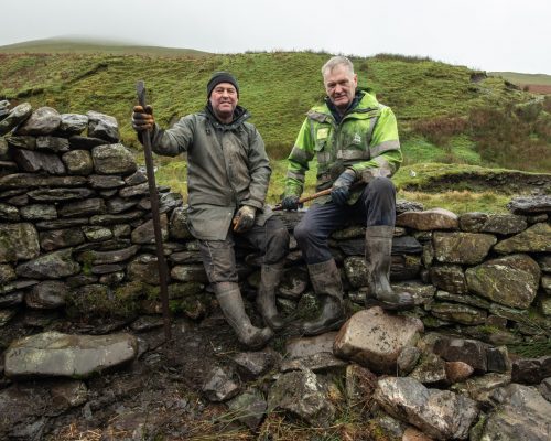 Meet the dry-stone wallers who restored a 300-year-old sheep pen in Cumbria