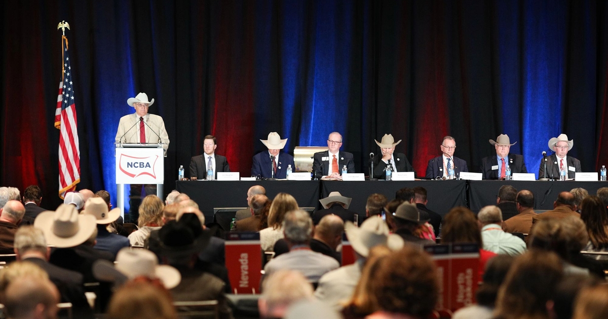 San Antonio to host CattleCon 2025