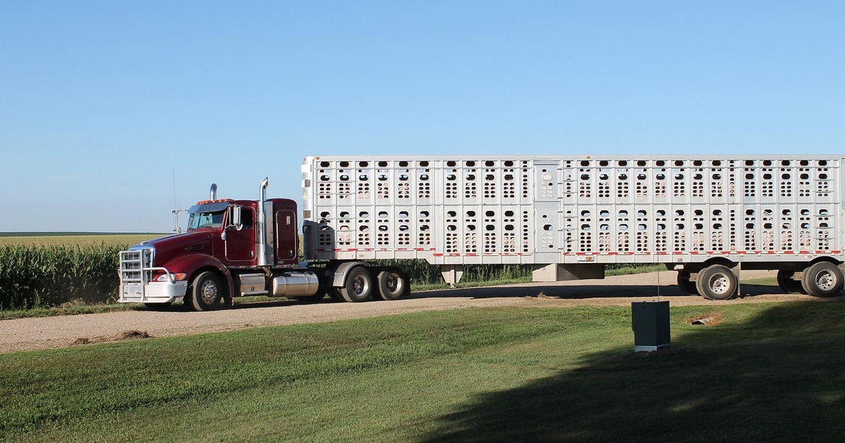 Funding to help Michigan emergency personnel with livestock