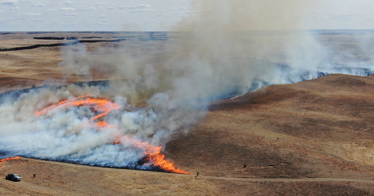 Resources available for Nebraska producers affected by wildfires