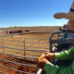 Brangus bull tops day two of February All Breeds