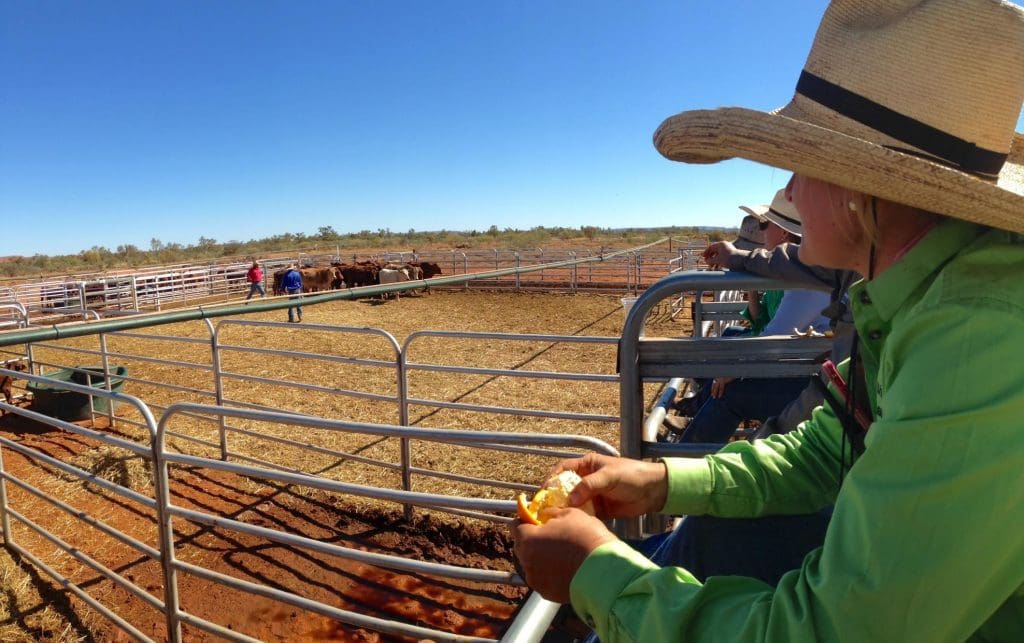 Genetic Innovation in the Outback: the BreedNorth WA Project