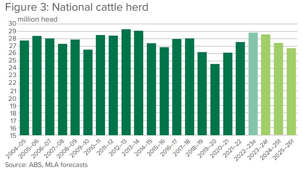 National cattle herd to ease to 28.6m says MLA’s 2024 Projections