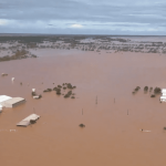 Take a virtual feedlot tour, to see what makes grainfed industry tick