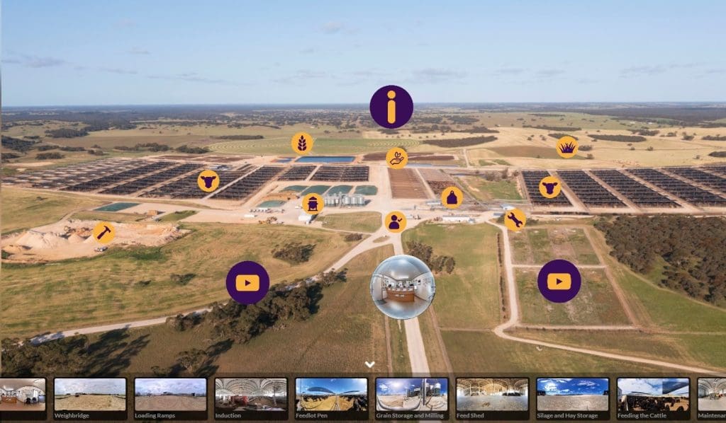 Take a virtual feedlot tour, to see what makes grainfed industry tick