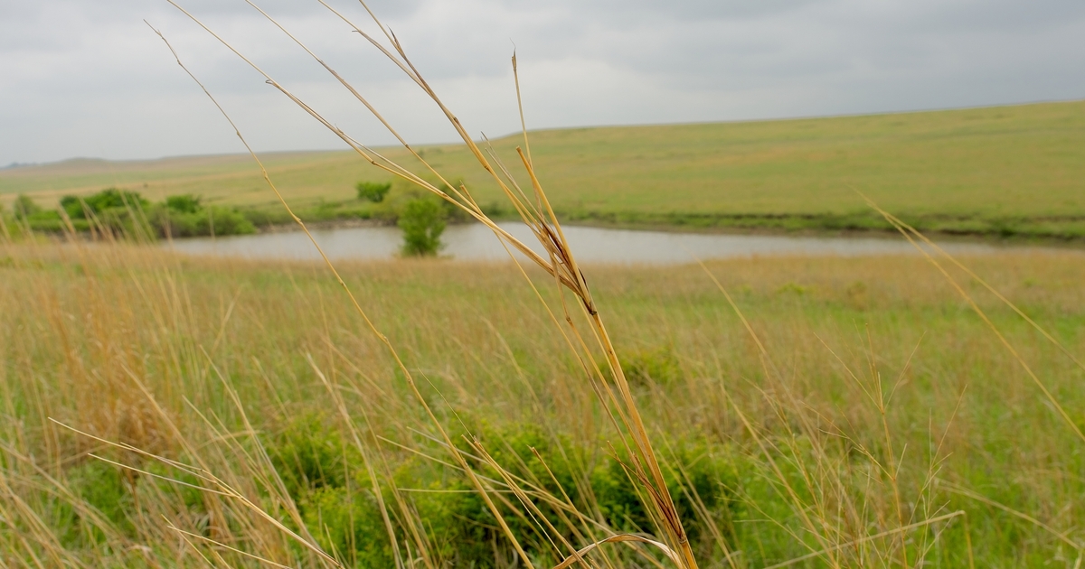 USDA announces New Working Lands Climate Corps partnership