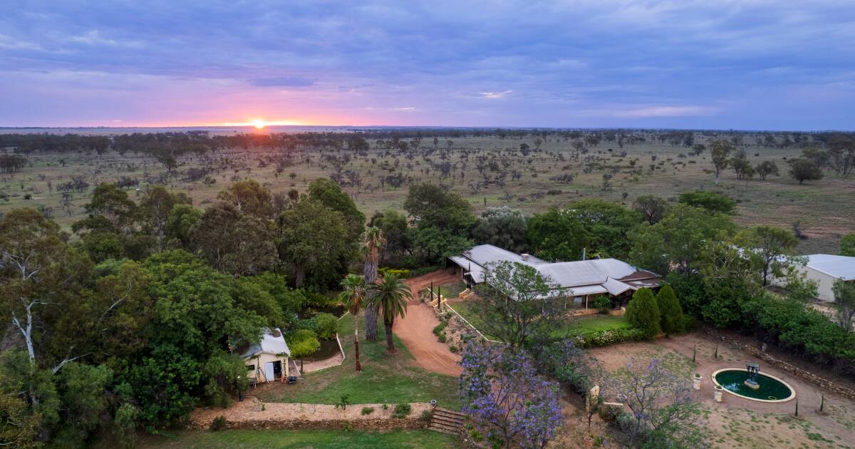 Top quality Maranoa country makes $2658/acre at red hot auction