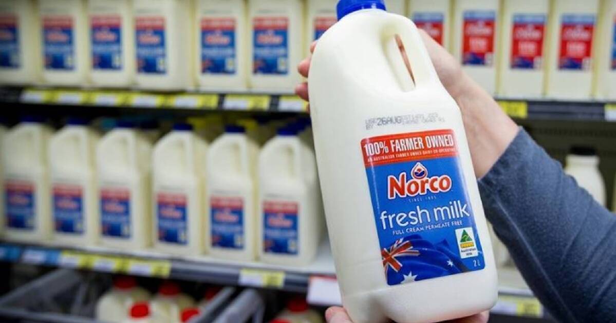 Milk brands swap shelves in Sydney but Woolworths says it's got Norco's back