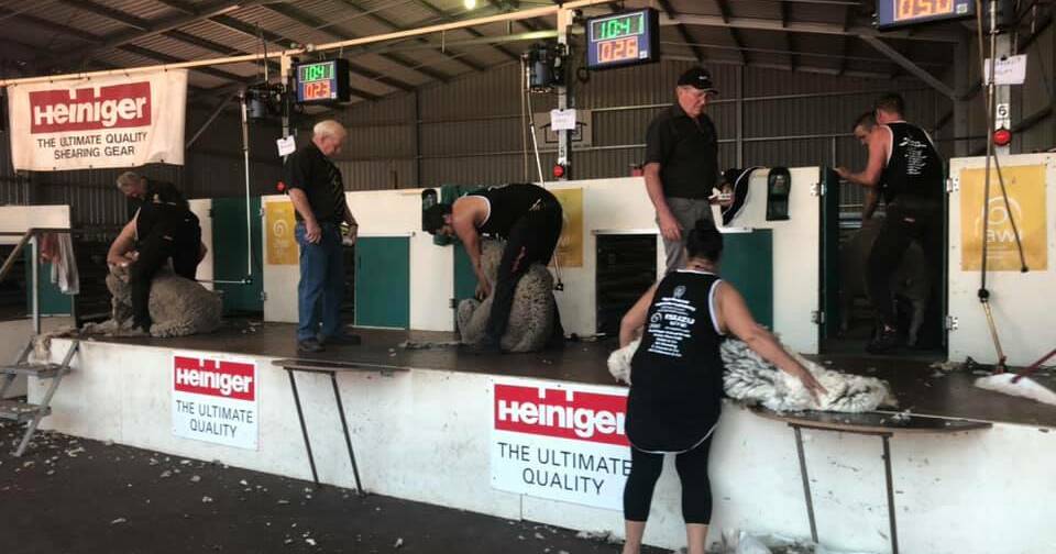 Wagin Woolorama 2023 Shearing and Woolhandling Prizes | Farm Weekly