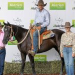 West Wyalong Flock Ewe Competition hat-trick win for Darren and Gale Clarke