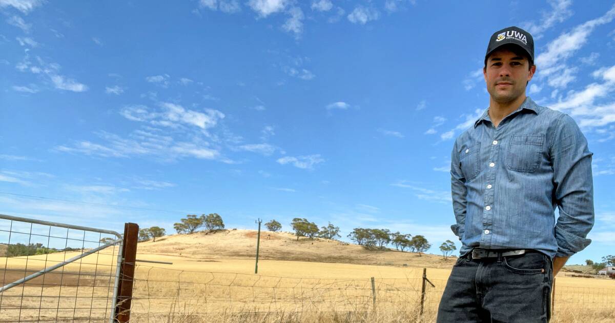 UWA heads up program to improve grower awareness of grain investment traceability | Farm Weekly