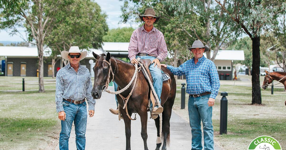 How prices fared on day two of the Nutrien Classic sale