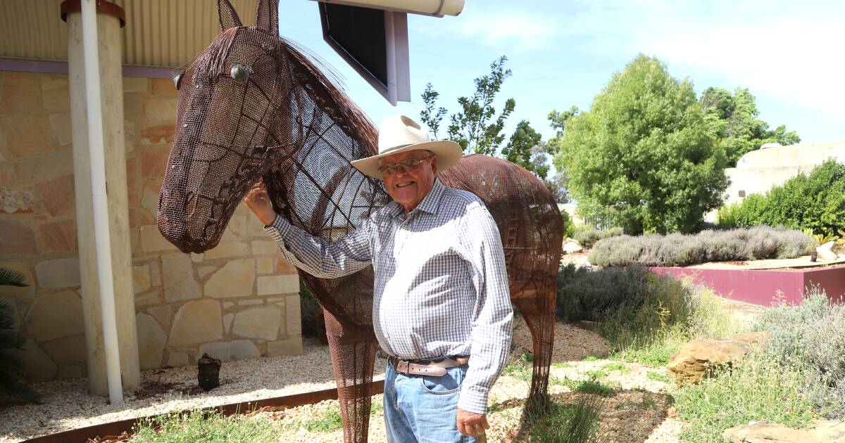 Heavy horses honoured at Longreach