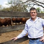 Family focus on annual Angus weaner sale