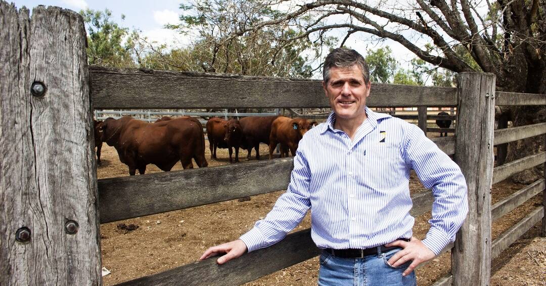 AgForce applies to NFF Fighting Fund to fund fight against Glencore | Queensland Country Life