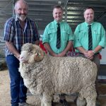 Horse sold earlier in the day claims classic campdraft final