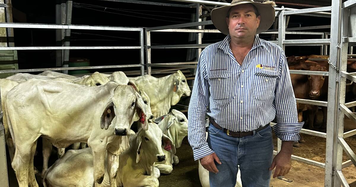 Rising prices and strong demand at Innisfail store sale