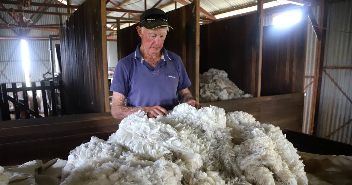 Bob and Margie Little: Keeping the faith in wool growing at Hughenden | Queensland Country Life