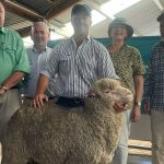 The Greens back activists outside Perth cabinet meeting | Farm Weekly