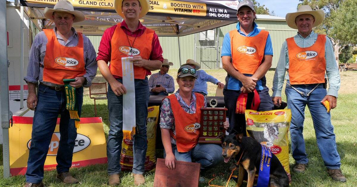 Victorian claims NSW Yard Dog State Championships title