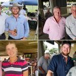 Canberra Royal 2024: Limousin results