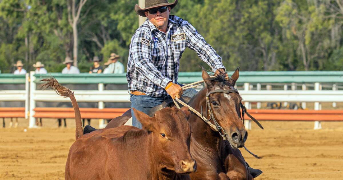 Paradise Lagoons Campdraft announces arena changes for 2024 event | Queensland Country Life