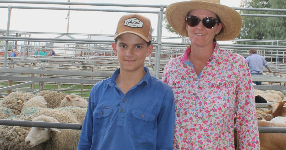 Pat York: An 11-Year-old sheep stud master in Bowenville | Queensland Country Life