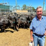 Mason Valley stud achieves high prices in bull sale | Farm Weekly