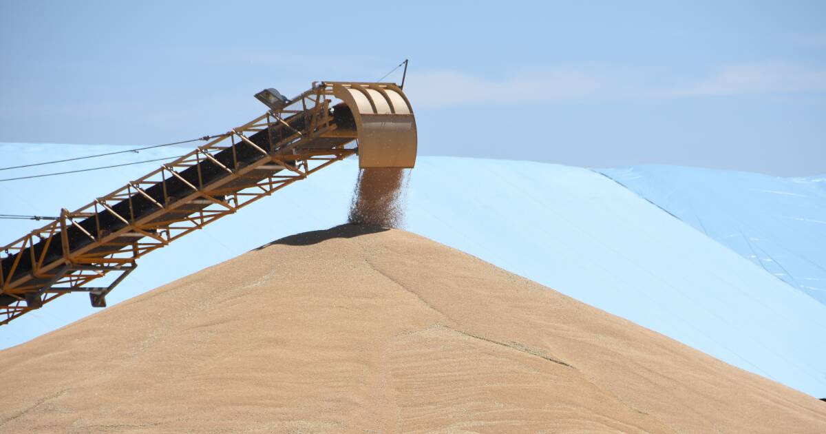 Buying more shares as grain profits plunge