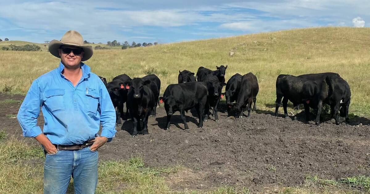 Beef Spectacular Feedback Trial 2024: First-time entrant Rockvale Farming finishes in top three for eating quality