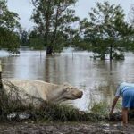 Government allocates $91.8M for North Queensland disaster recovery | The North West Star