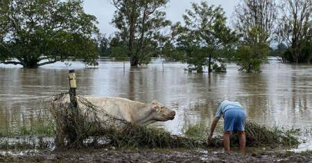 Qld ag community must build resilience to natural disasters. | Queensland Country Life