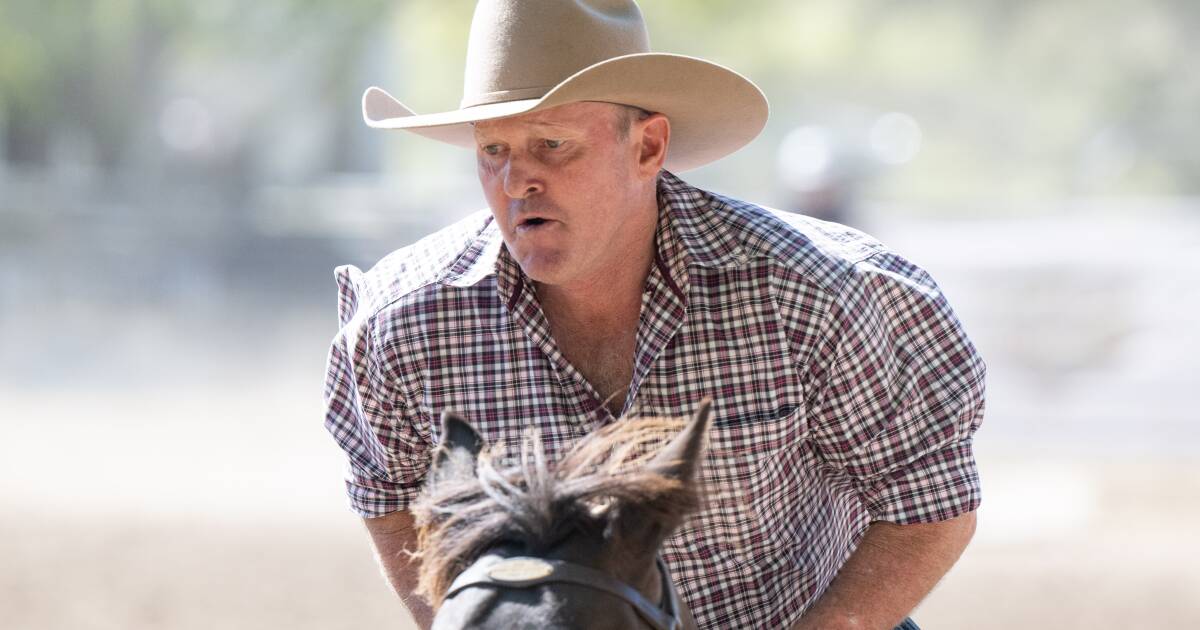 'It was a really good weekend': Campdraft enthusiasts flock to Bendemeer