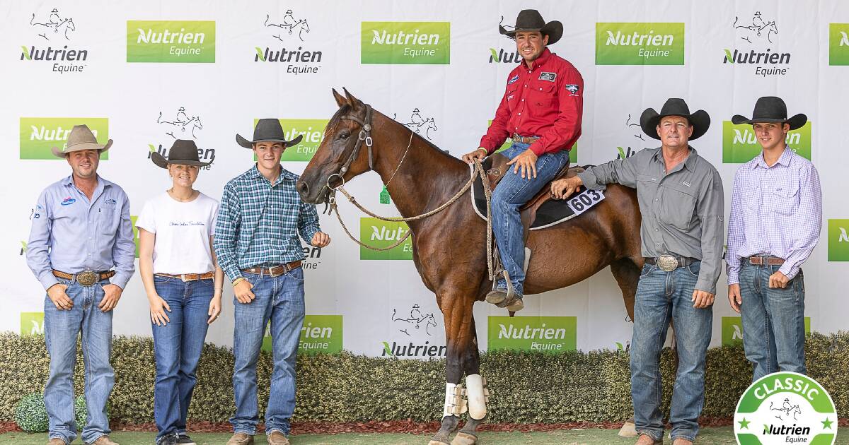 2024 Nutrien Classic sale overall results and final day prices | The Land