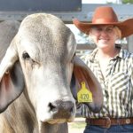 Rising prices and strong demand at Innisfail store sale