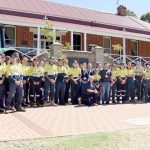 Dalby sale 7 Feb 2024: Yarding surges to 7228 head