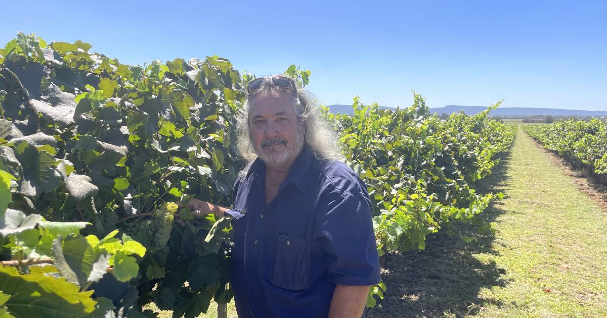 Bob Berton takes the challenges of the Australian Wine Industry | The Land