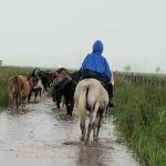 How dairy farmers are helping Ukraine win the war against Russia