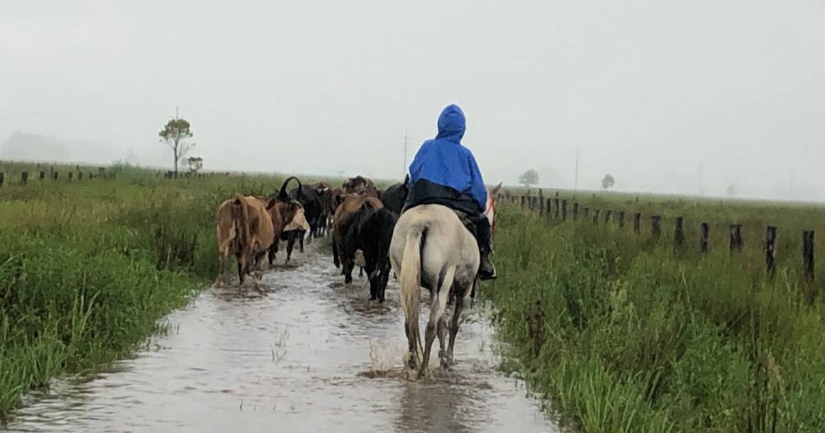 Understaffed RAA swamped with flood applications