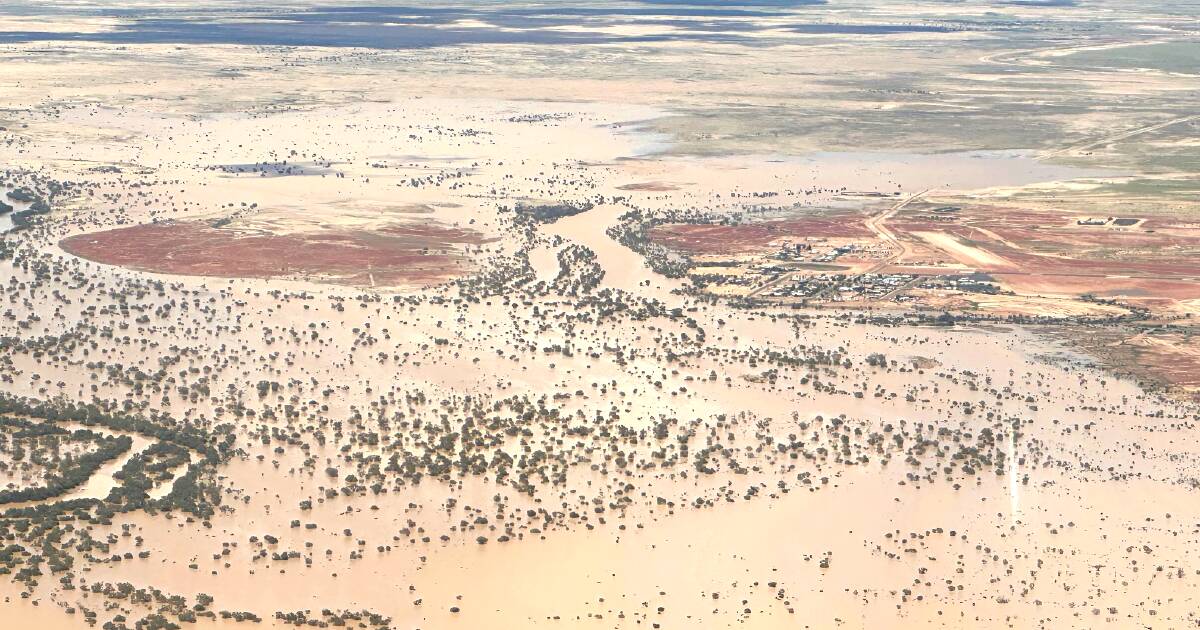 Birdsville becomes an island following surge in floodwaters from up north