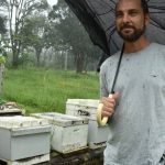 Genetic Innovation in the Outback: the BreedNorth WA Project