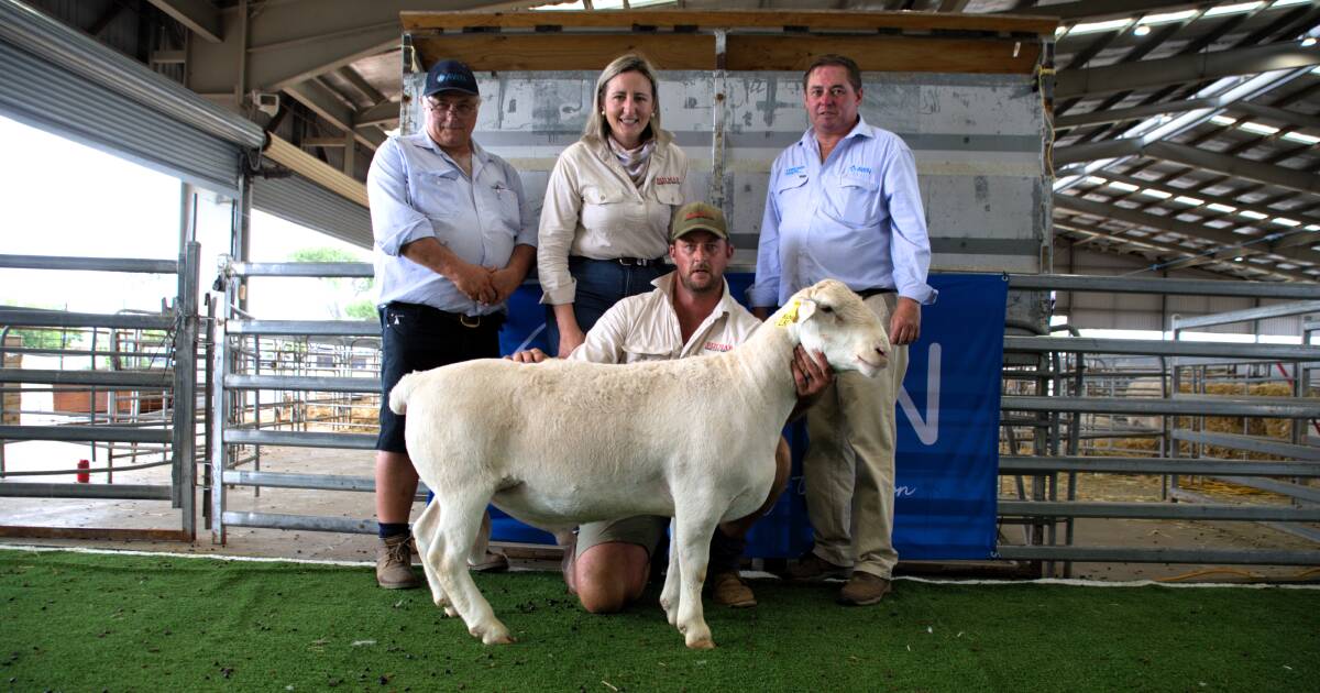 Interstate support at third Bulmar Ultra White annual sale