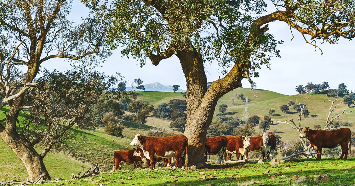 Calls for farmers to be exempt from looming climate reporting | Farm Weekly