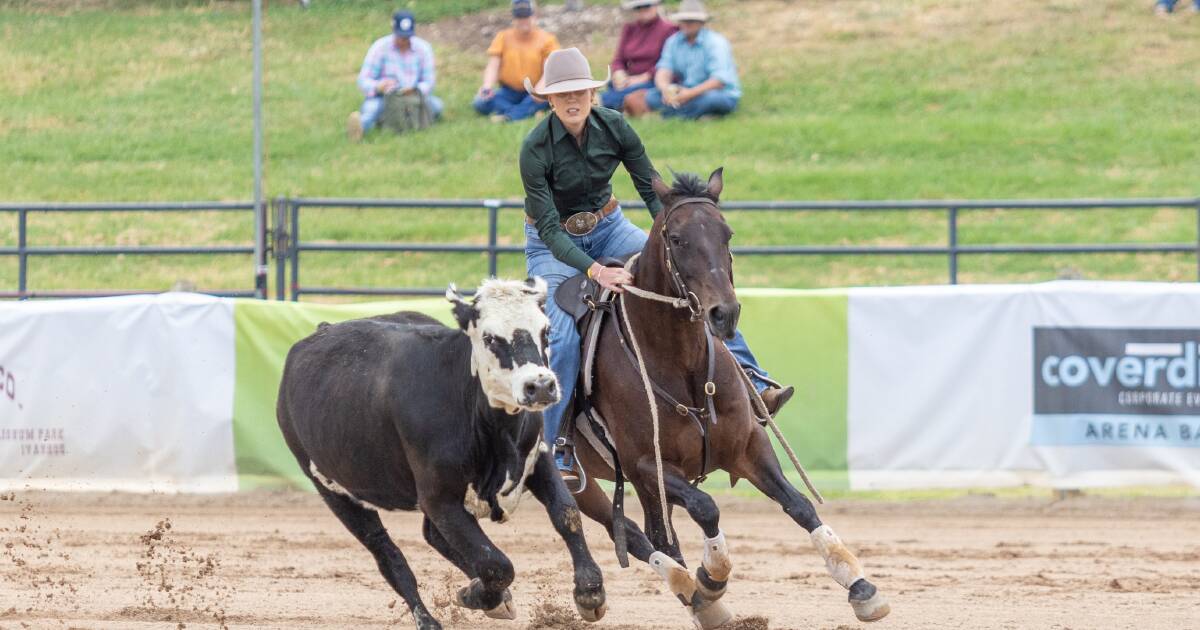 Mark Buttsworth wins Nutrien Classic Campdraft riding Hard Currency | Queensland Country Life