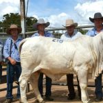 Big Country day one topped by Lancefield M Reece 7792 | North Queensland Register